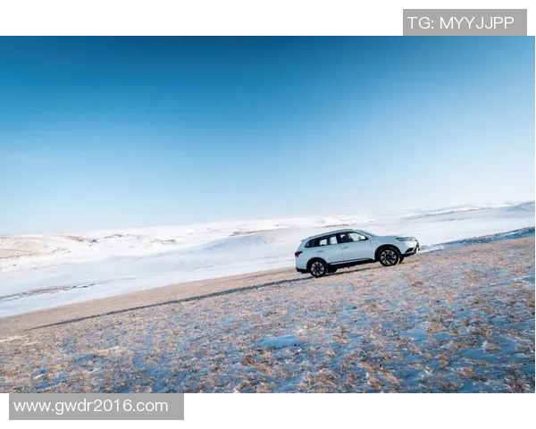 欧蓝德：从足球场到全球舞台的传奇之路与不凡成就